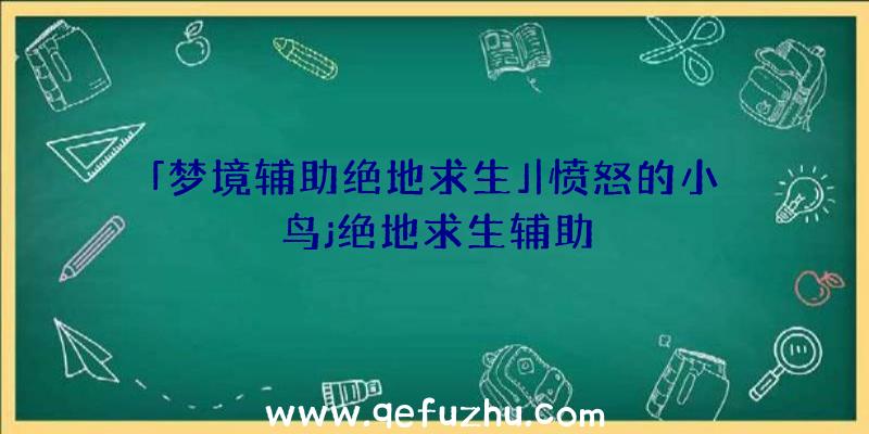 「梦境辅助绝地求生」|愤怒的小鸟j绝地求生辅助